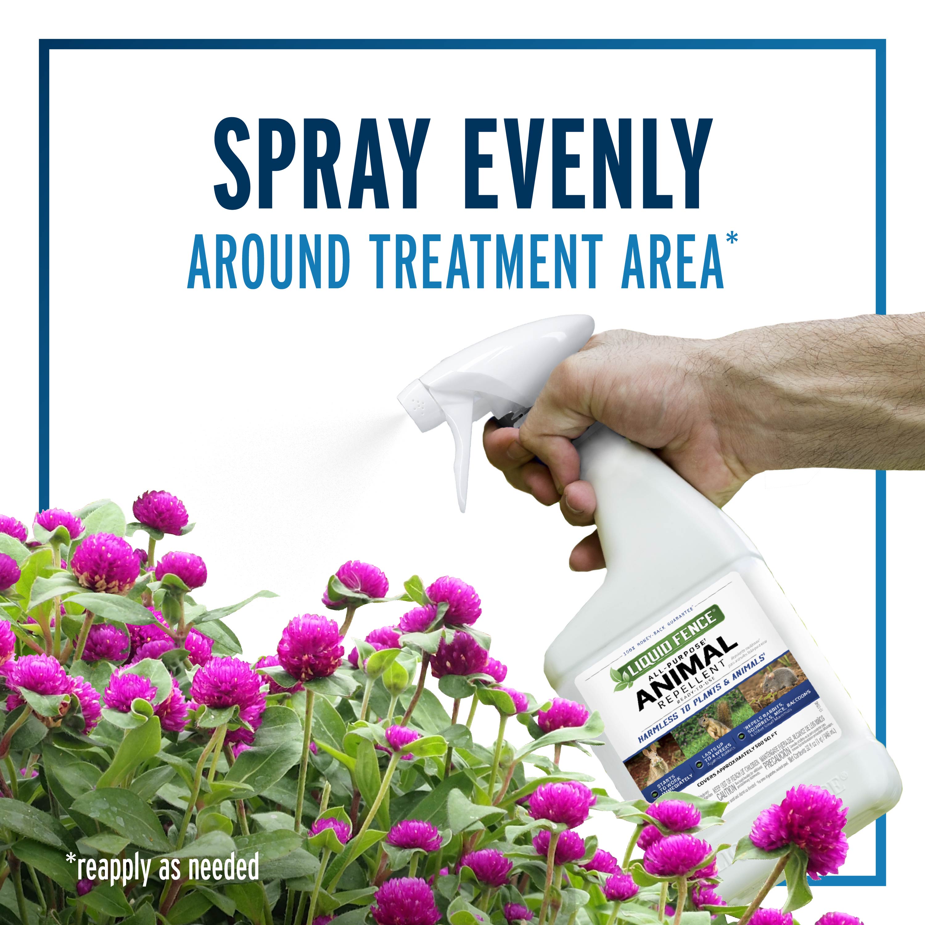 spray evenly around treatment area